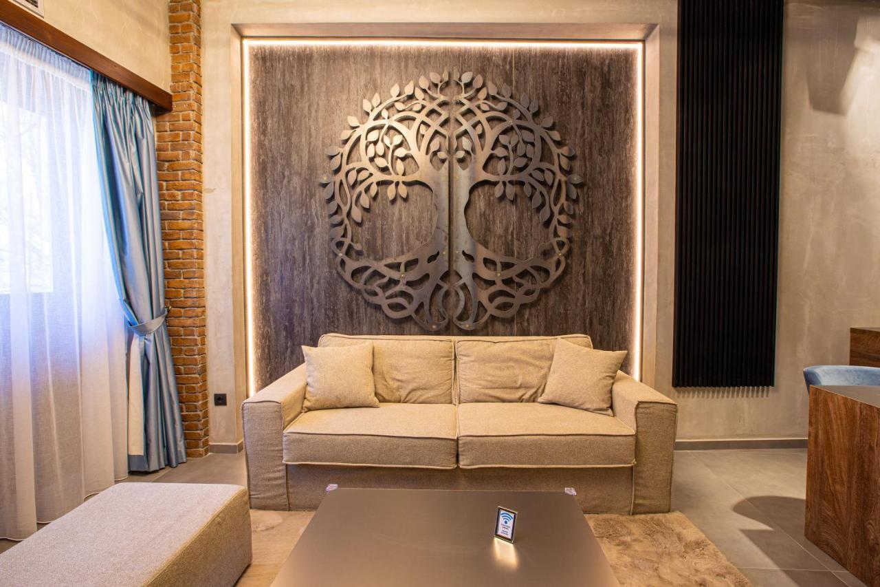 Adryades Luxury Appartement Metsovo